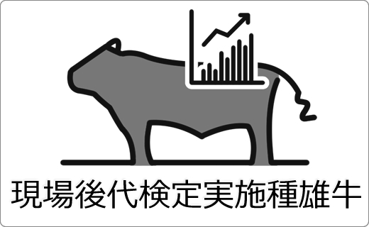 種雄牛情報 黒毛和種 黒毛和種 Gh Content 種雄牛情報 黒毛和種 黒毛和種 Gh Content