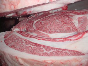 ジェネティクス北海道　勝早桜５産子枝肉写真　株式会社小形畜産様