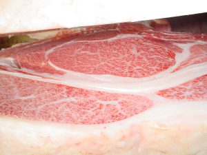 ジェネティクス北海道　第１花藤産子枝肉写真　株式会社長谷川牧場