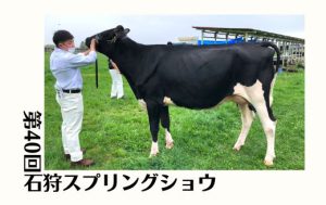 ジェネティクス北海道　ブーテイー娘牛　（有）福屋牧場様
