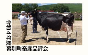 ジェネティクス北海道　スクランブル娘牛　田村 寛興様