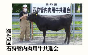 ジェネティクス北海道　第45回石狩管内肉用牛共進会