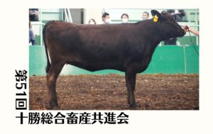ジェネティクス北海道　第51回十勝総合畜産共進会