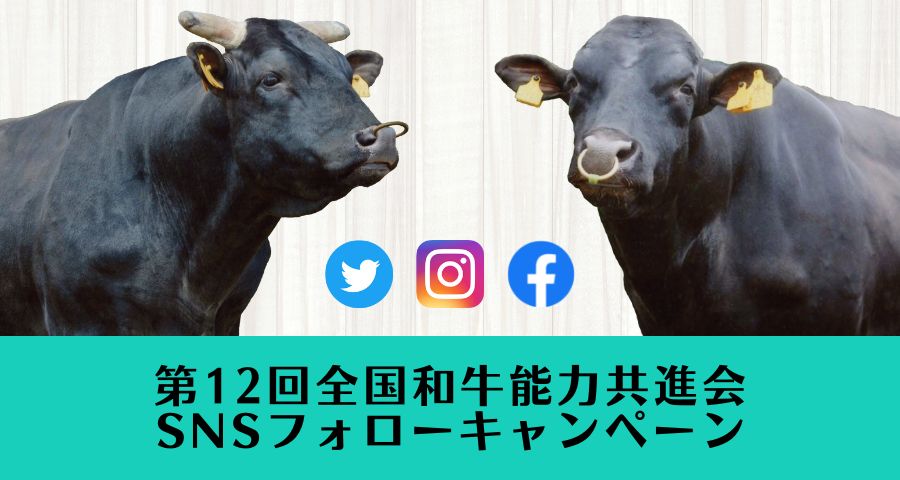 ジェネティクス北海道　第12回全国和牛能力共進会鹿児島大会　SNSフォローキャンペーン
