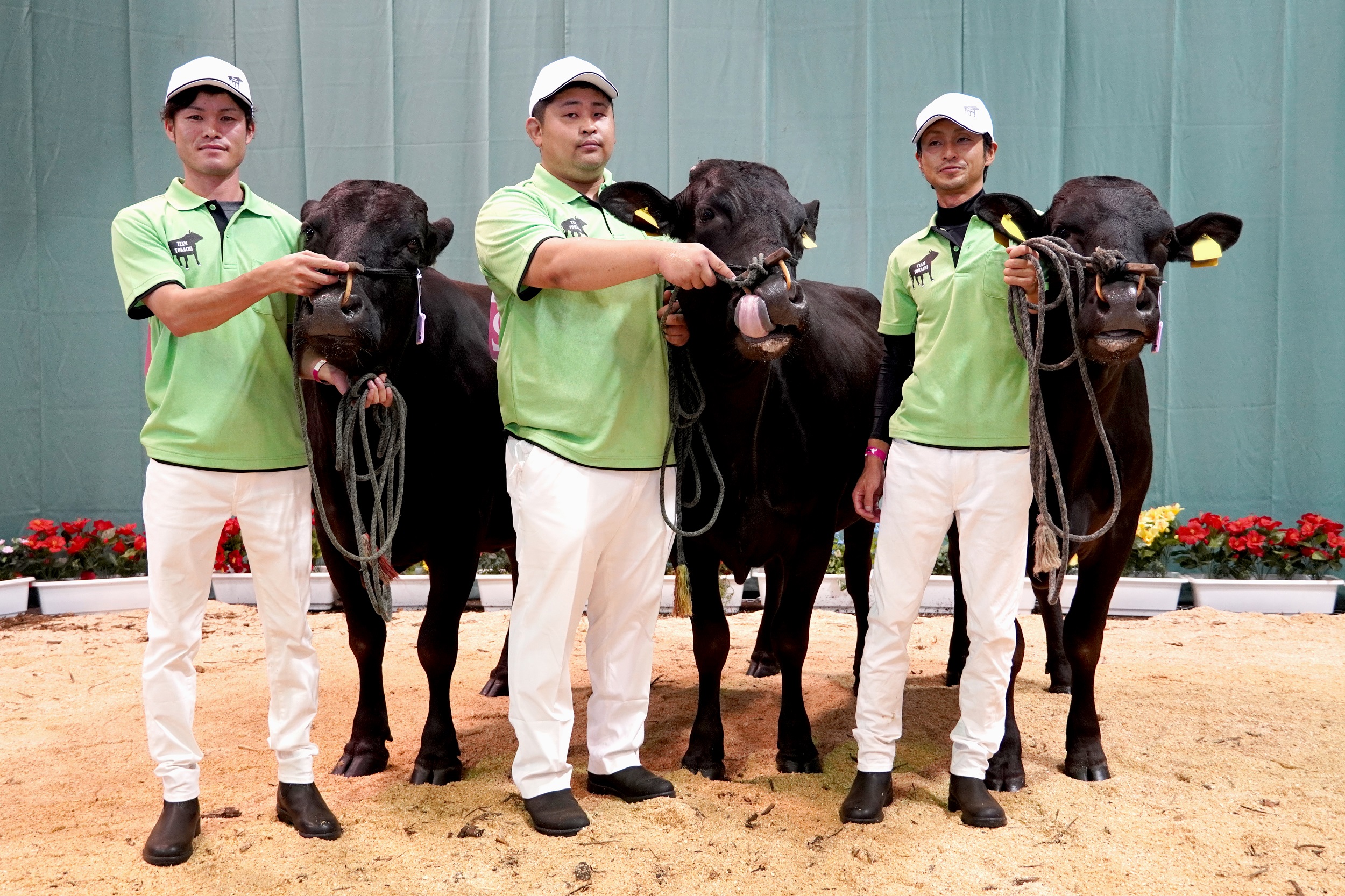 ジェネティクス北海道 勝早桜5産子 梅栄福産子写真 武田大治様