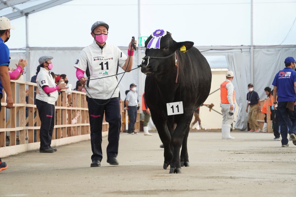 ジェネティクス北海道 第12回全国和牛能力共進会鹿児島大会 第1区 北神居