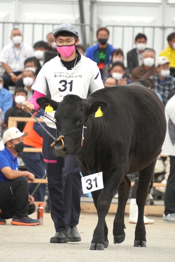 ジェネティクス北海道 第12回全国和牛能力共進会鹿児島大会 第2区 もね 有限会社美郷牧場様