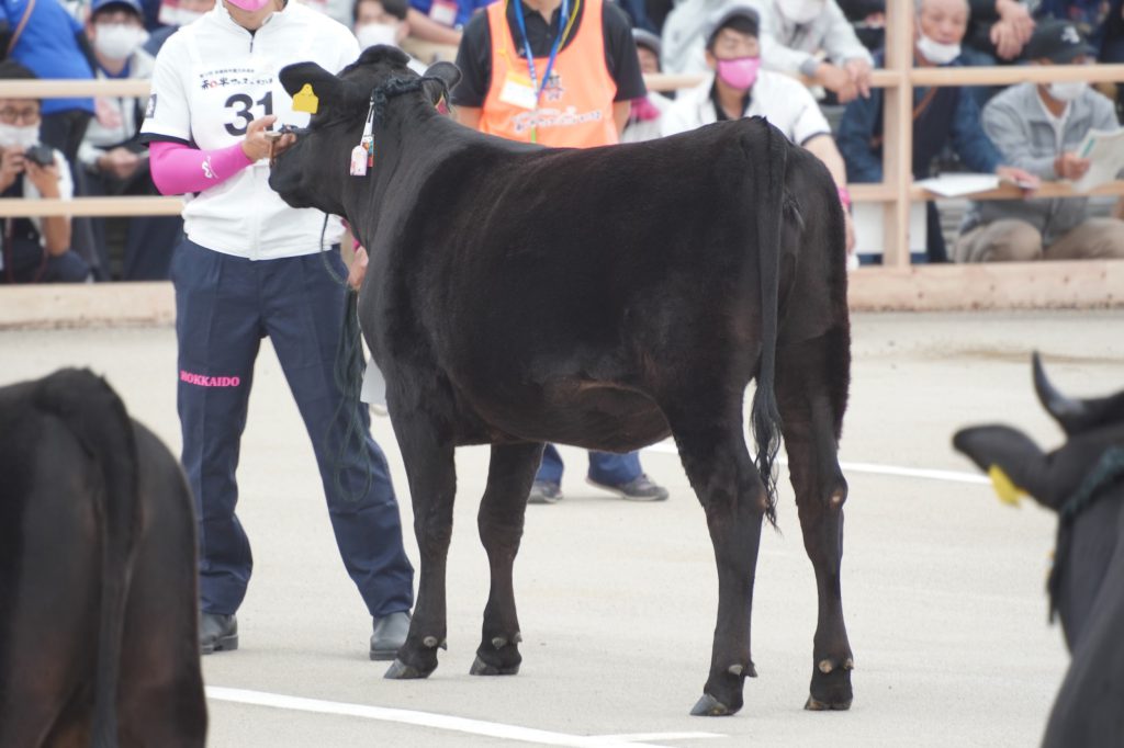 ジェネティクス北海道 第12回全国和牛能力共進会鹿児島大会 第2区 もね 有限会社美郷牧場様