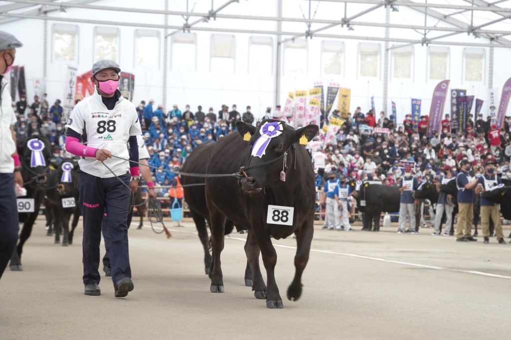ジェネティクス北海道 第12回全国和牛能力共進会鹿児島大会 第4区 みさき352の5 大原裕樹様