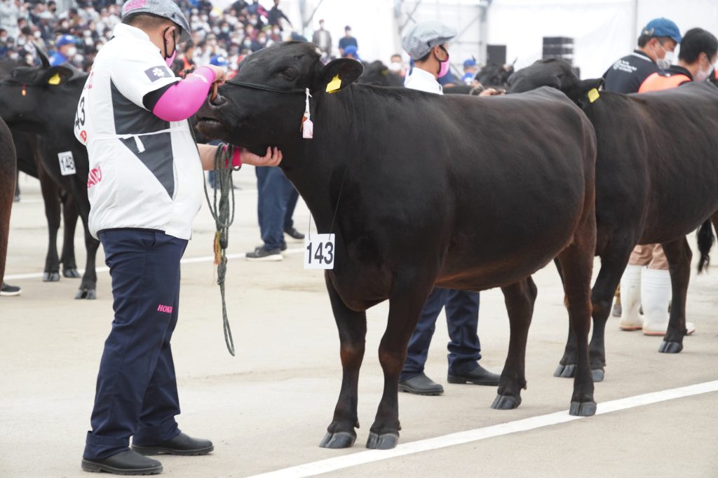 ジェネティクス北海道 第12回全国和牛能力共進会鹿児島大会 第5区 さきな 武田大治様