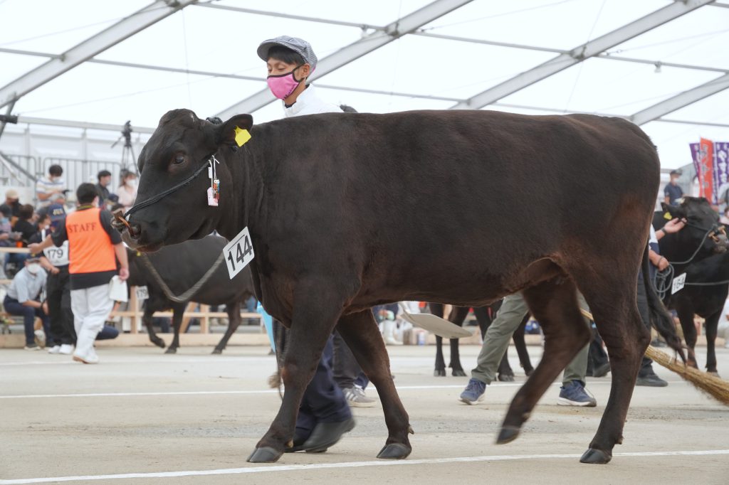 ジェネティクス北海道 第12回全国和牛能力共進会鹿児島大会 第5区 うめの 武田大治様
