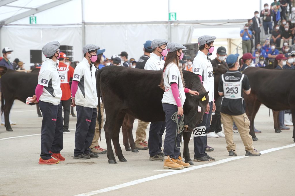 ジェネティクス北海道 第12回全国和牛能力共進会鹿児島大会 特別区 ひめしょうぶ 北海道立農業大学校