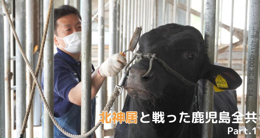 ジェネティクス北海道 H黒-377 北神居 鹿児島全共
