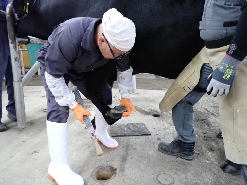 ジェネティクス北海道 H黒-377 北神居
