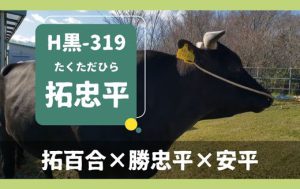 ジェネティクス北海道　H黒-319 拓忠平
