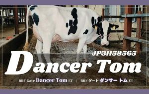 ジェネティクス北海道　JP3H58565 ダンサー トム