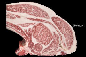 ジェネティクス北海道　梅栄福産子枝肉写真　柴田知樹様