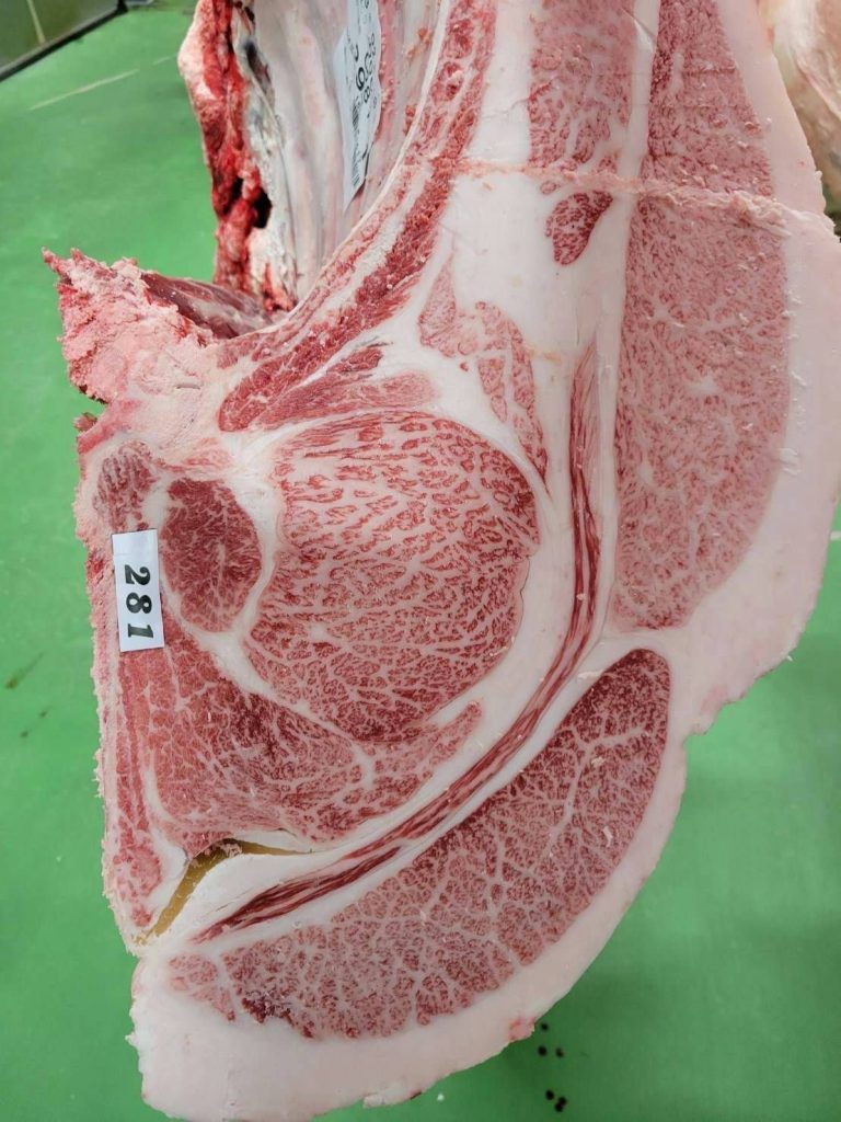 ジェネティクス北海道　鉄晴幸産子枝肉写真　株式会社うし和牧場様