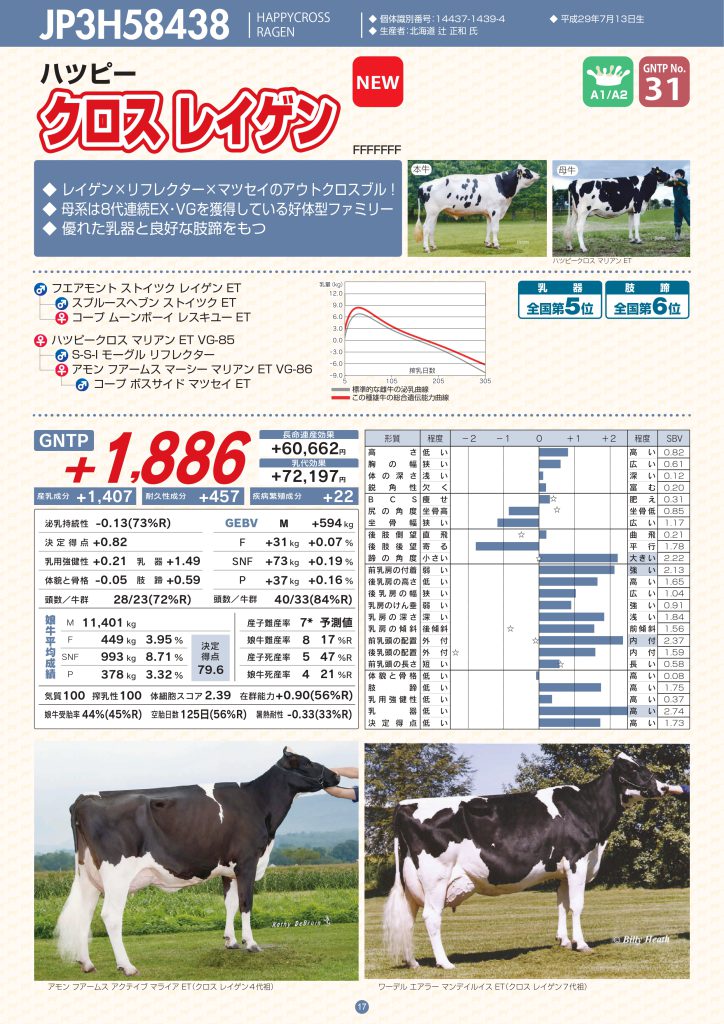 ジェネティクス北海道　JP3H58438 クロス レイゲン
