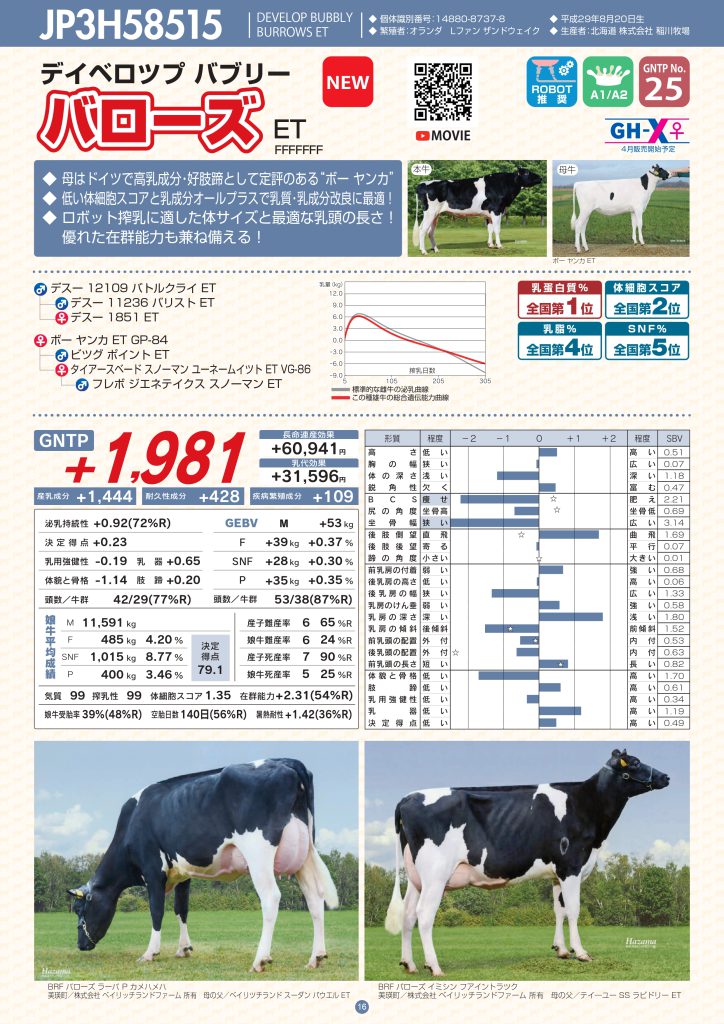 ジェネティクス北海道　JP3H58515 バローズ