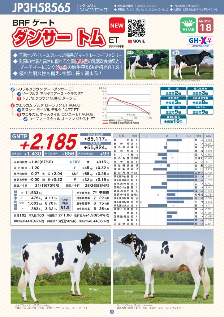 ジェネティクス北海道　JP3H58565 ダンサー トム